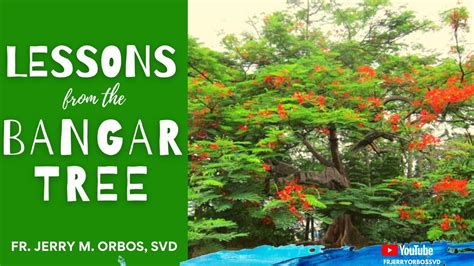 bangar tree in tagalog|Bangar — Overview.